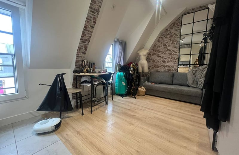 Rent of a cozy studio with a tower view, 17 m², 15th arrondissement, Paris, France